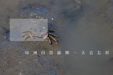 绿洲闪贷逾期一天会怎样 绿洲闪贷逾期一天会怎样