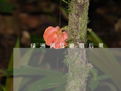 绿洲闪贷逾期后果 绿洲闪贷逾期后果