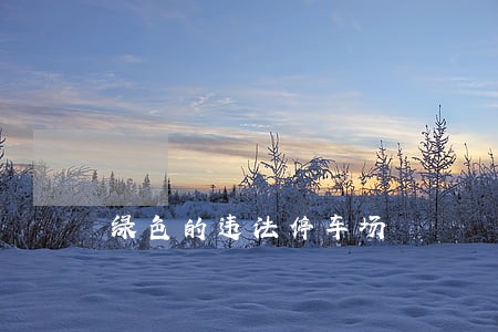 绿色的违法停车场 绿色的违法停车场