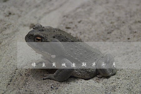绿豆商城逾期半个月 绿豆商城逾期半个月