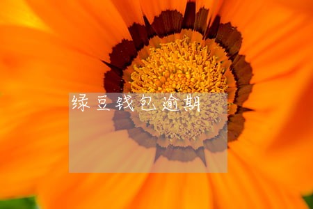 绿豆钱包逾期 绿豆钱包逾期