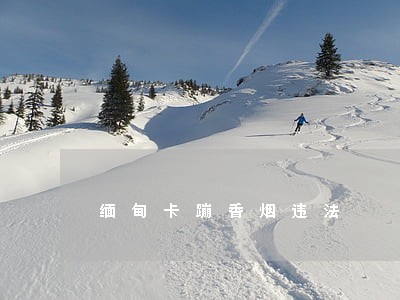 缅甸卡蹦香烟违法 缅甸卡蹦香烟违法