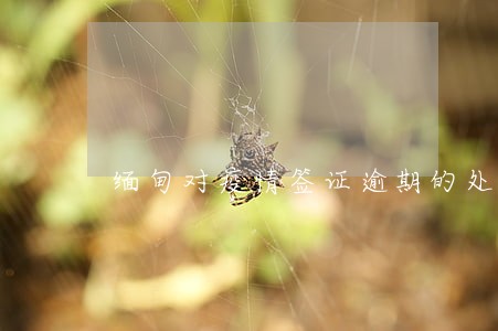 缅甸对疫情签证逾期的处理 缅甸对疫情签证逾期的处理