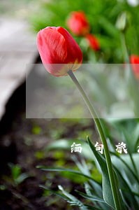 缅甸旅游签逾期哪里交罚款 缅甸旅游签逾期哪里交罚款