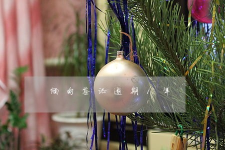 缅甸签证逾期1年 缅甸签证逾期1年