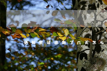 缅甸签证逾期了几天怎么办 缅甸签证逾期了几天怎么办