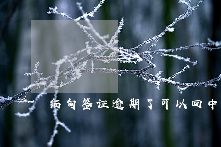 缅甸签证逾期了可以回中国吗 缅甸签证逾期了可以回中国吗
