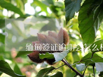 缅甸签证逾期会怎么样 缅甸签证逾期会怎么样