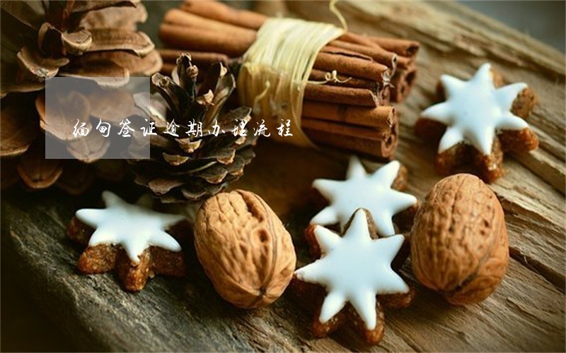 缅甸签证逾期办理流程