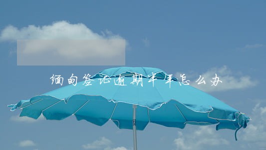 缅甸签证逾期半年怎么办 缅甸签证逾期半年怎么办