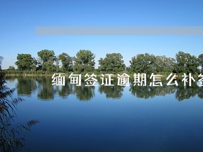 缅甸签证逾期怎么补签 缅甸签证逾期怎么补签