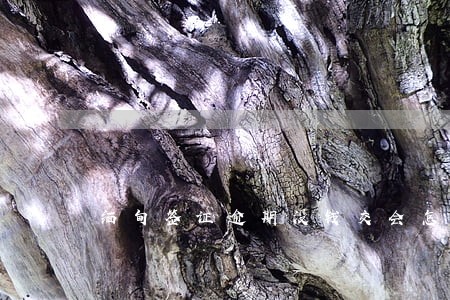 缅甸签证逾期没钱交会怎么样 缅甸签证逾期没钱交会怎么样