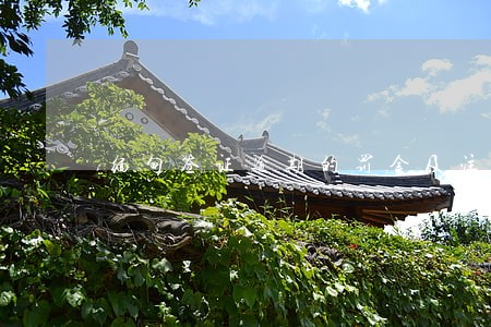 缅甸签证逾期的罚金及注意事项 缅甸签证逾期的罚金及注意事项