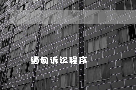 缅甸诉讼程序 缅甸诉讼程序