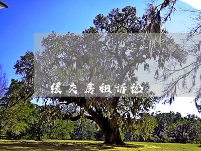 缓交房租诉讼 缓交房租诉讼