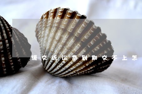 缓交诉讼费到期交不上怎么办 缓交诉讼费到期交不上怎么办