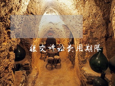 缓交诉讼费用期限 缓交诉讼费用期限