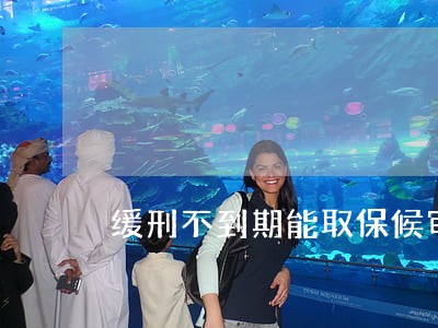 缓刑不到期能取保候审吗 缓刑不到期能取保候审吗
