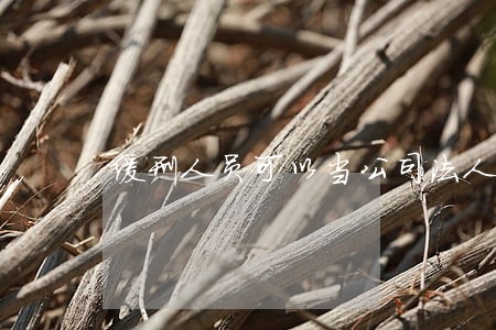 缓刑人员可以当公司法人吗 缓刑人员可以当公司法人吗