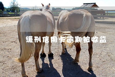 缓刑信用卡逾期被收监 缓刑信用卡逾期被收监