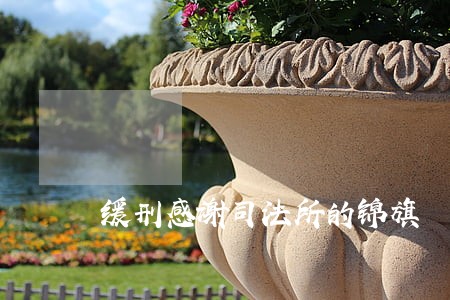 缓刑感谢司法所的锦旗 缓刑感谢司法所的锦旗