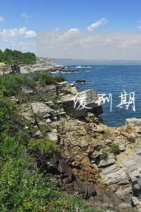 缓刑期间信用卡恶意逾期
