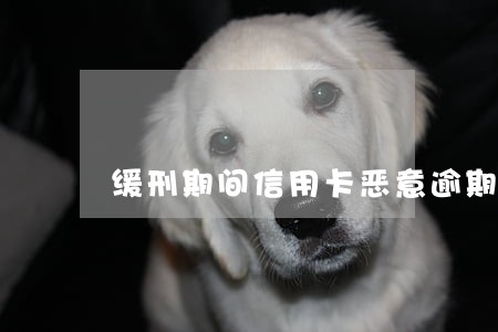 缓刑期间信用卡恶意逾期证明 缓刑期间信用卡恶意逾期证明