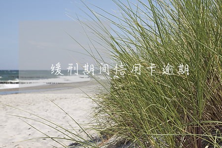 缓刑期间信用卡逾期 缓刑期间信用卡逾期