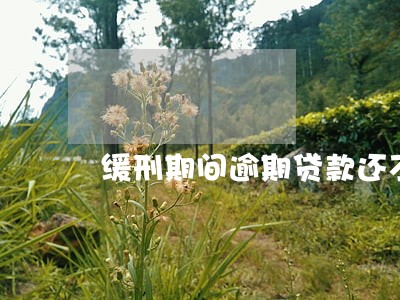 缓刑期间逾期贷款还不上 缓刑期间逾期贷款还不上