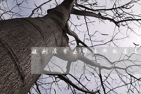 缓刑没有去司法所报道过了刑期