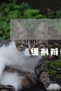缓刑辩护律师收费欢迎咨询 缓刑辩护律师收费欢迎咨询