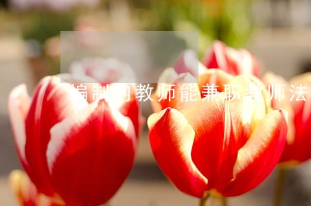 编制内教师能兼职教师法规 编制内教师能兼职教师法规