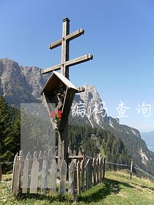 编码查询征信逾期 编码查询征信逾期