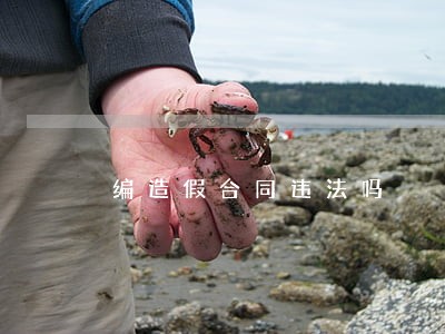 编造假合同违法吗 编造假合同违法吗