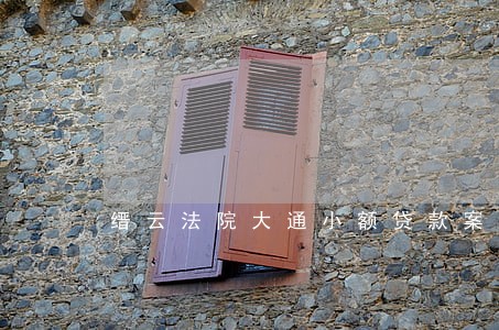 缙云法院大通小额贷款案
