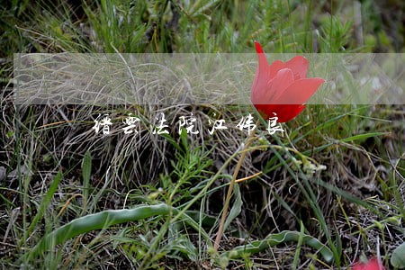 缙云法院江伟良 缙云法院江伟良