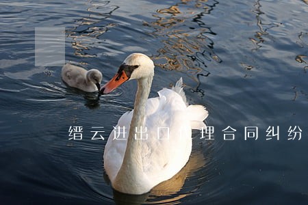 缙云进出口代理合同纠纷律师 缙云进出口代理合同纠纷律师