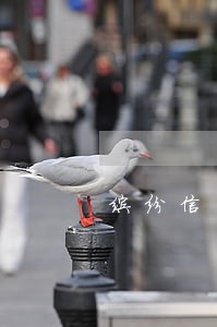 缤纷信用逾期一天 缤纷信用逾期一天