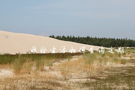 缤纷生活如何查询逾期 缤纷生活如何查询逾期