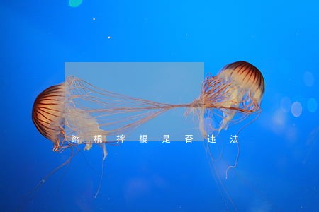 缩棍摔棍是否违法