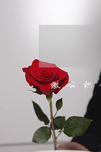 缴公积金逾期一天还款 缴公积金逾期一天还款