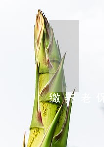 缴养老保险逾期利息怎么算 缴养老保险逾期利息怎么算