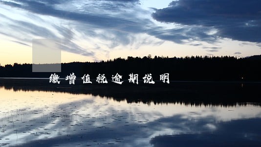 缴增值税逾期说明 缴增值税逾期说明