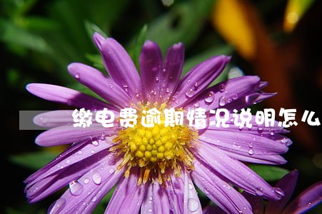 缴电费逾期情况说明怎么写