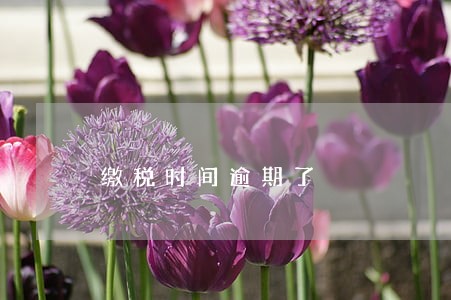 缴税时间逾期了 缴税时间逾期了