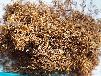 缴税有逾期可以申请税贷吗 缴税有逾期可以申请税贷吗