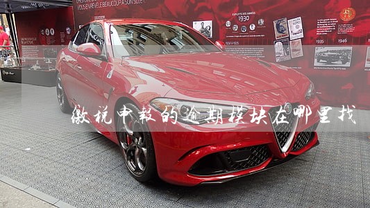 缴税申报的逾期模块在哪里找 缴税申报的逾期模块在哪里找