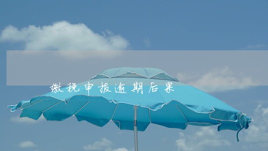 缴税申报逾期后果 缴税申报逾期后果