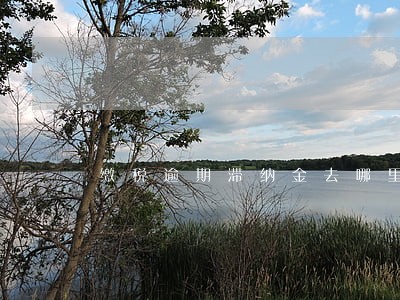 缴税逾期滞纳金去哪里缴纳