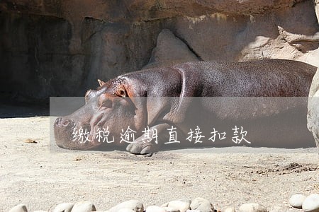 缴税逾期直接扣款 缴税逾期直接扣款